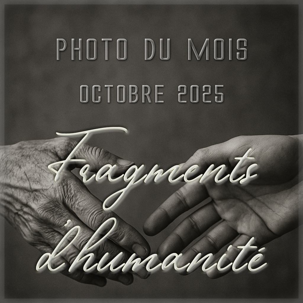 Cliquez sur l'image pour voir le(s) diaporama(s) du thème Diaporama des photos du mois