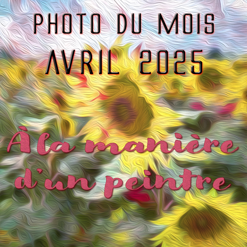 Diaporama des photos du mois