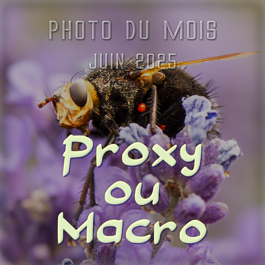 Diaporama des photos du mois