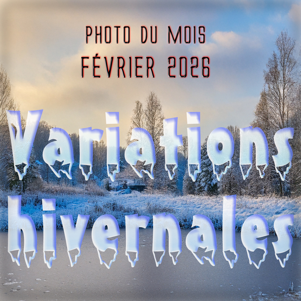 Diaporama des photos du mois