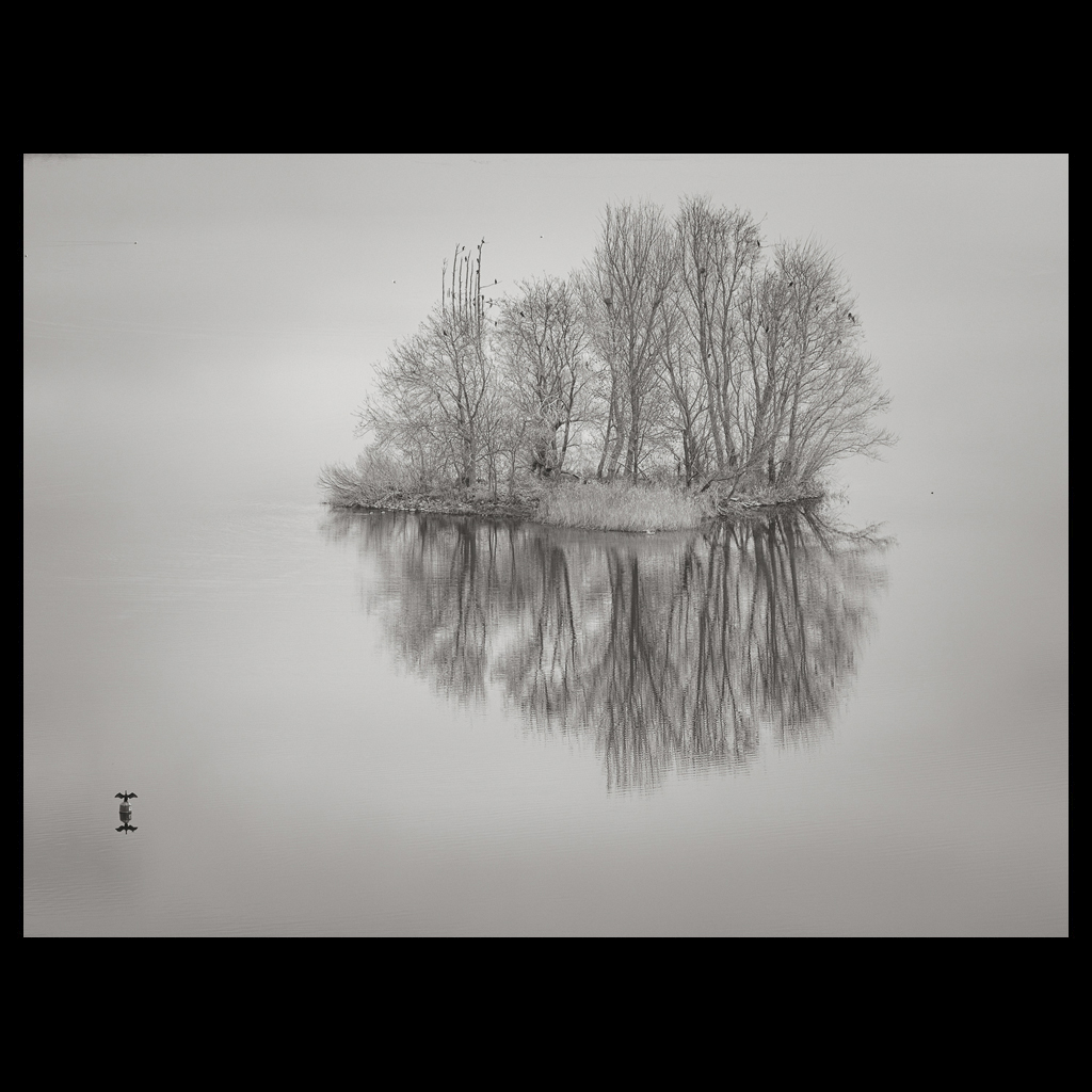 Diaporama des photos du mois